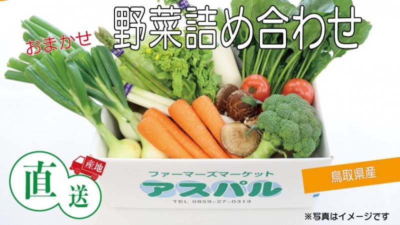【22-014-011】店長おまかせ！鳥取県産 野菜詰め合わせ